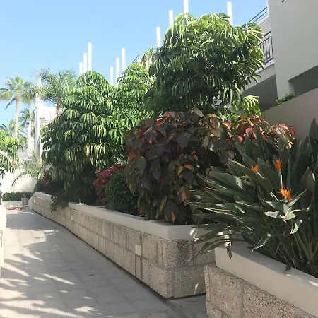 Lejlighed Penthouse Los Olivos *